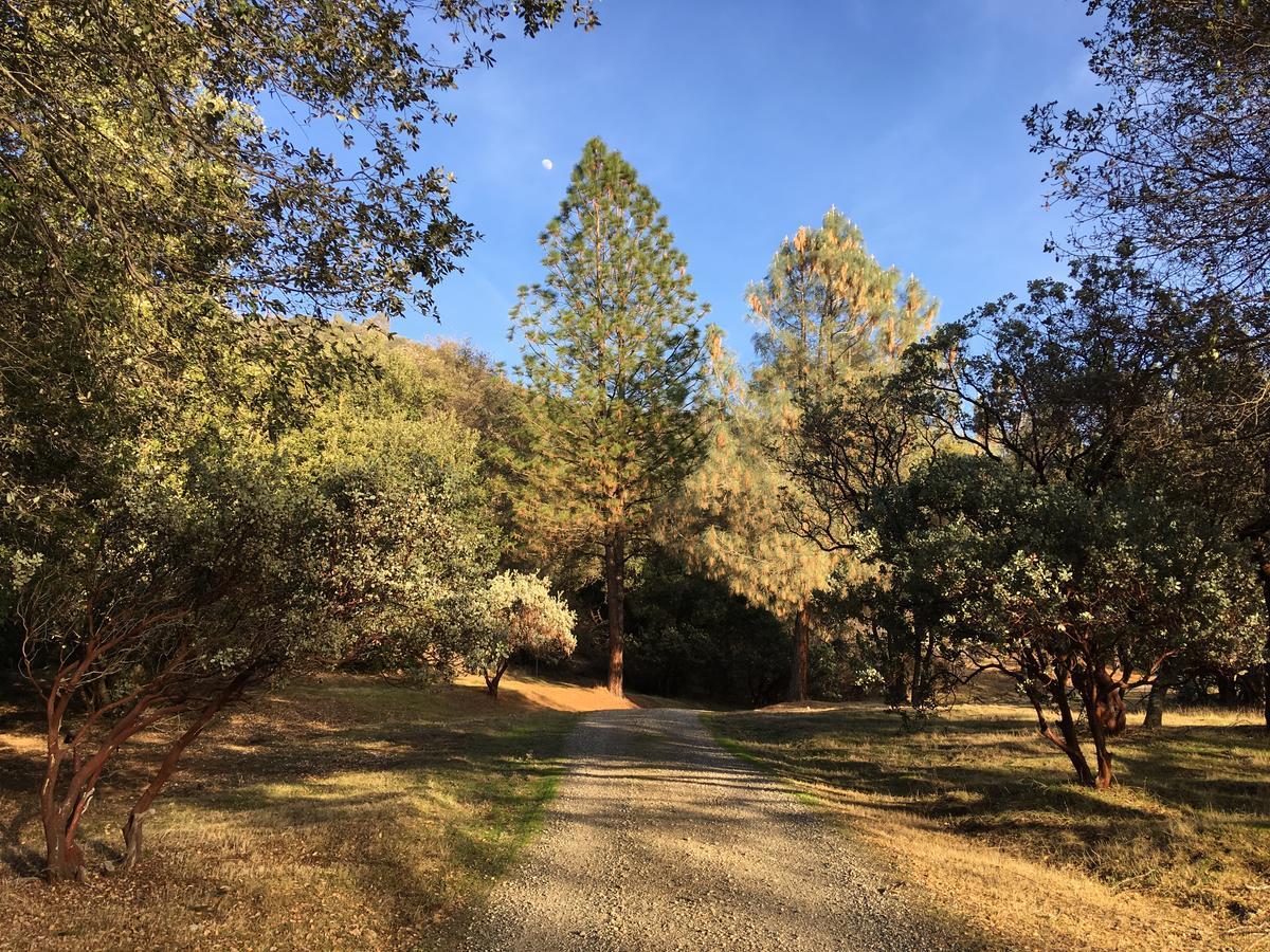 Foxtail Farm Bed & Breakfast Ponderosa Basin Esterno foto